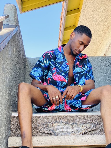 Donn Purkle sex star images