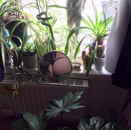 thedevilwearsdrama star exclusive photo