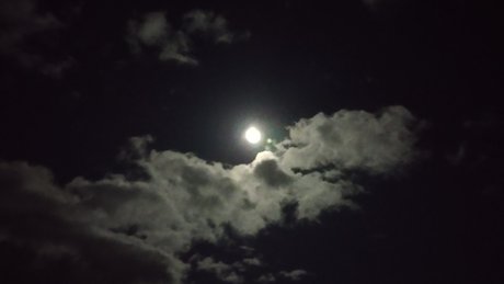 Don Doin_ sexy pornstar pic