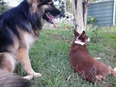 Kairu perfect model pic