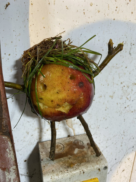 Rich Rowe model best picture