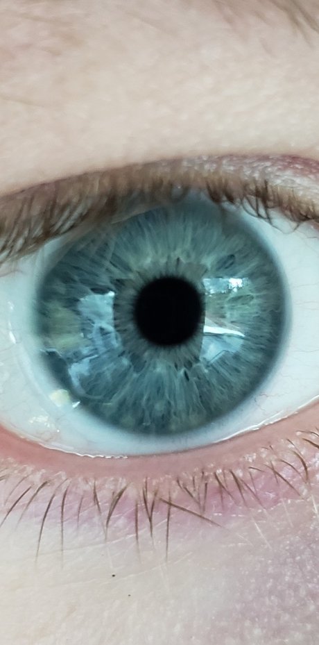 Remotedick xxx hd actress images