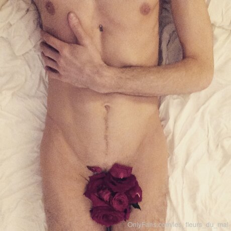 romantic amp amp kinky best pornstar picture