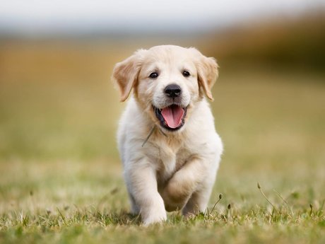 RobinKh nice pornstar pics