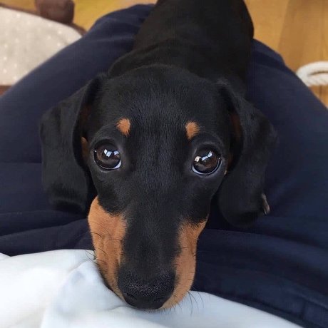 RICKY nice model gallery