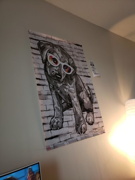 TacoPup star free images