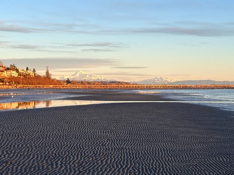 Rover Woodsdale model art pic