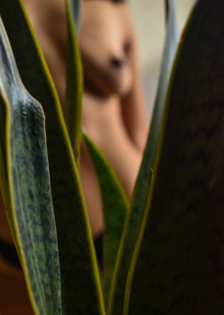 Sailor Meow nude pornstar img