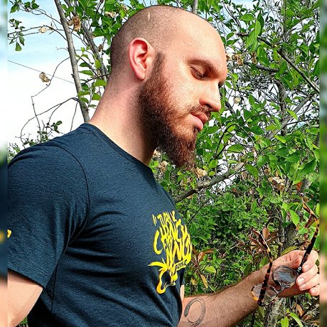 Ryuzaki_ beautiful star pictures