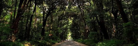 Ryuzaki_ star sexy pictures