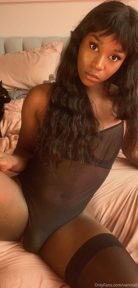 Vanniall pornographic star photo