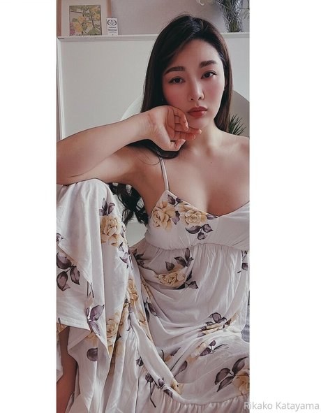 rikakodesu model art archive