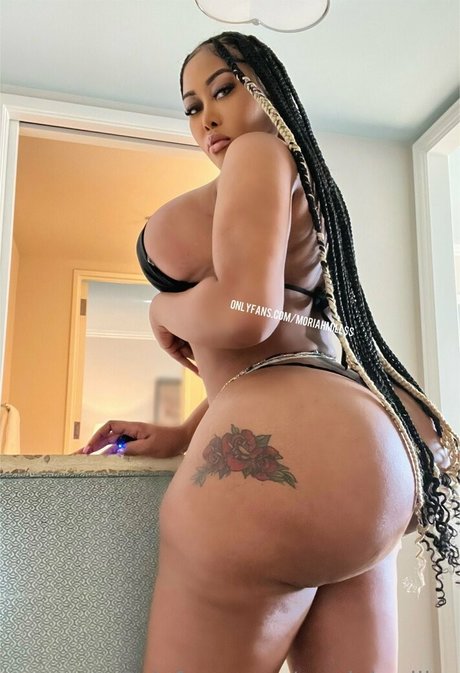 fat shemale onlyfans best archive