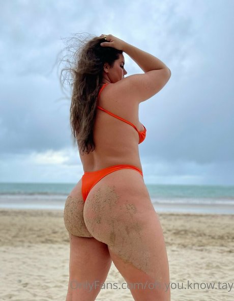 tay energy star adult archive