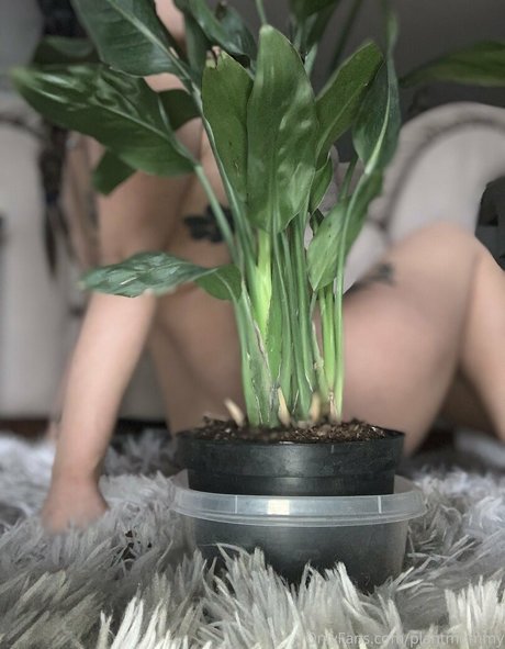 busty bbw onlyfans pornographic picture