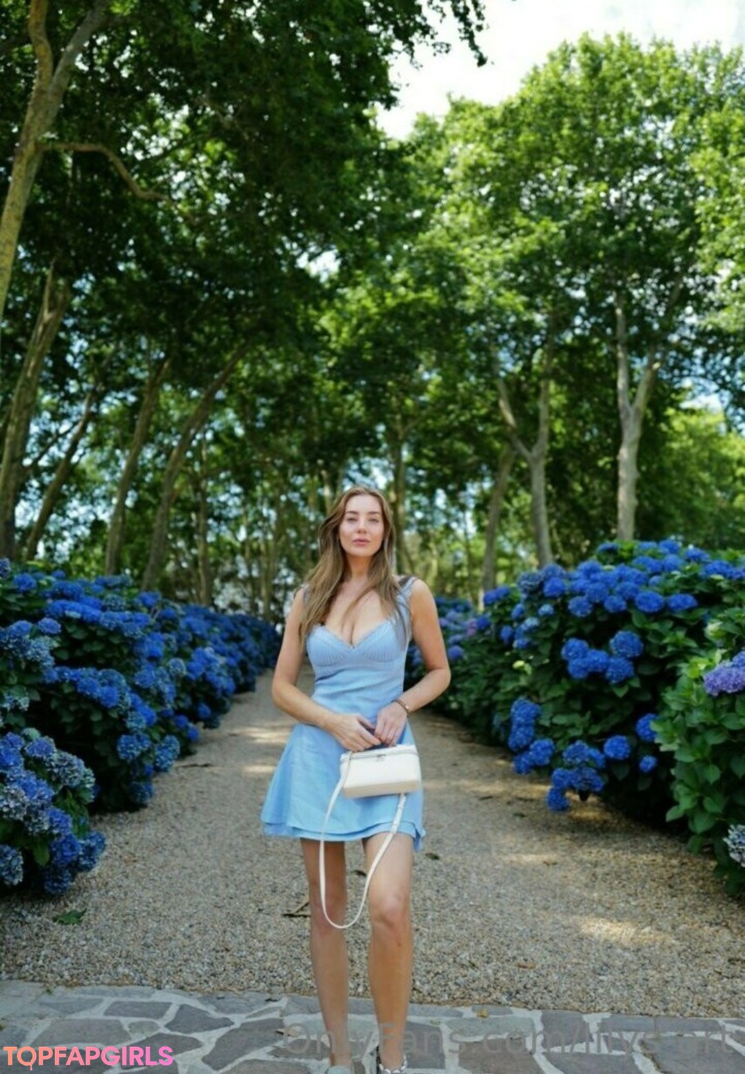lilys art perfect pornstar galleries