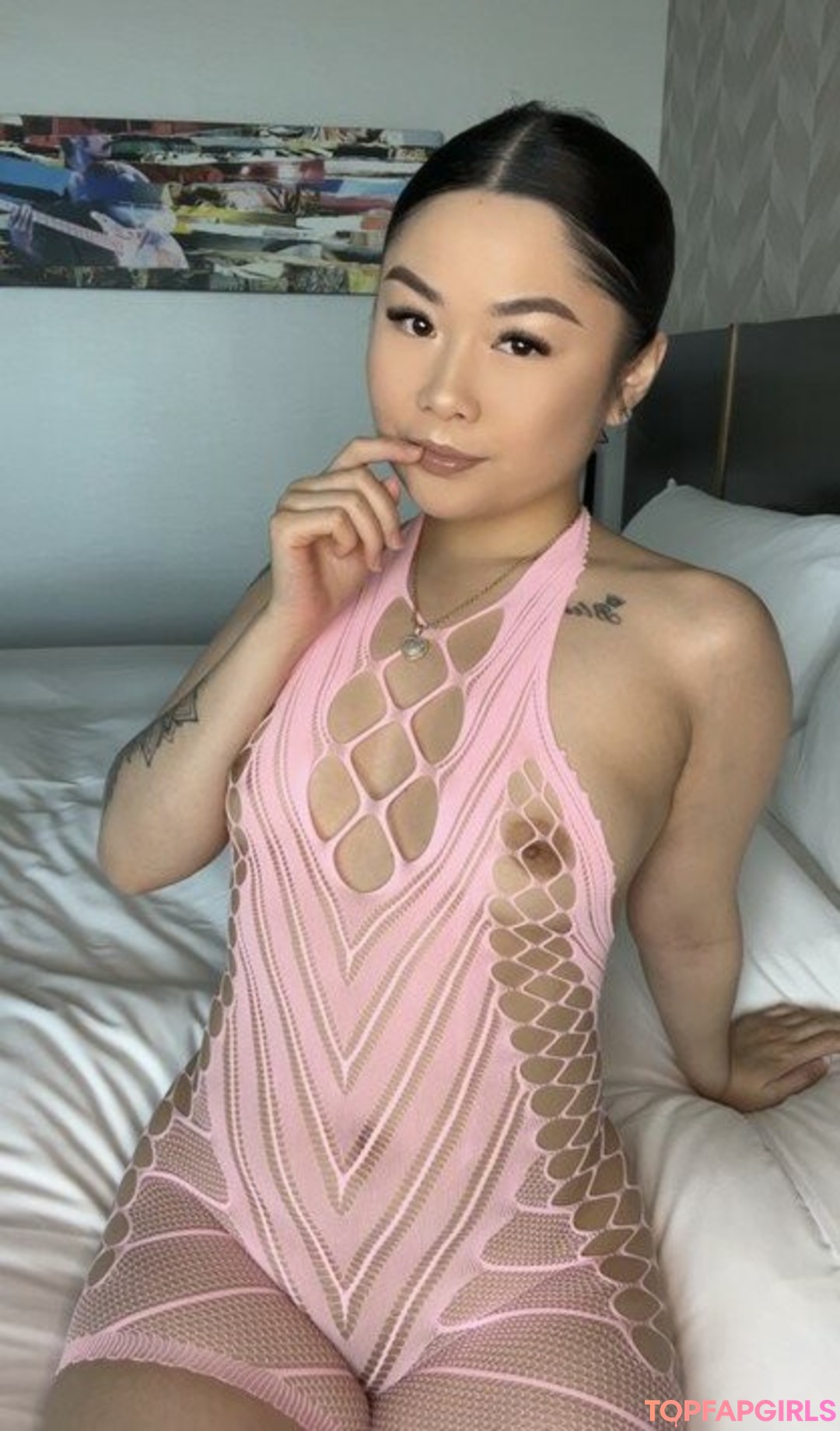 FineChina12 model top image