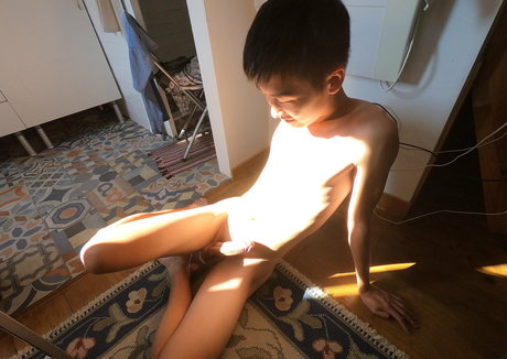 stallion bunny best star pic