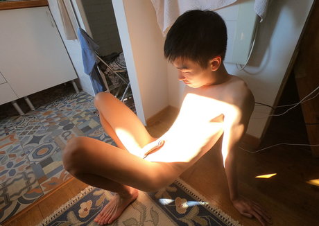 stallion bunny erotic star img