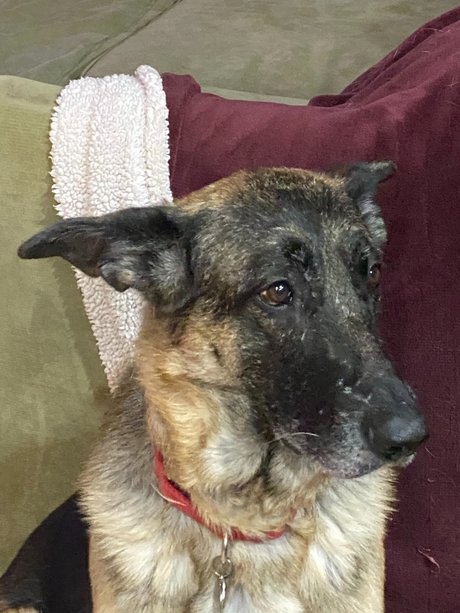 Sassy Jassy star top archive