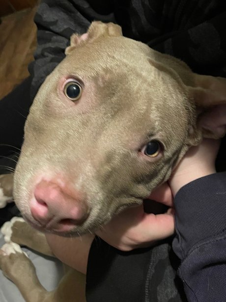 blonde teen pussy onlyfans porno pictures