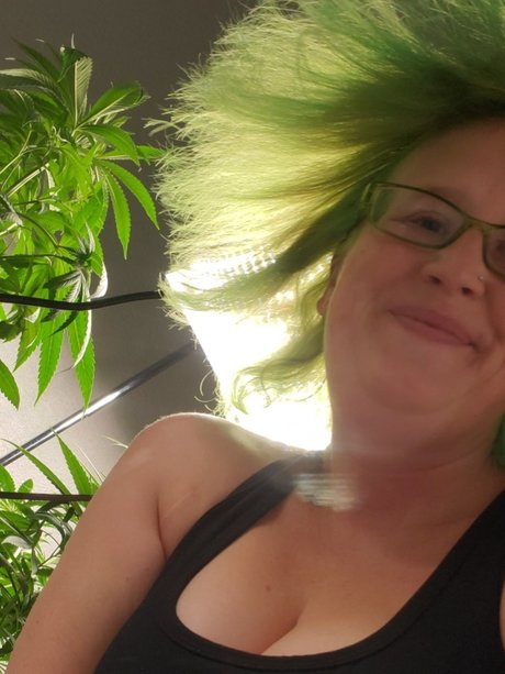 Sapphire Nicci pornstar naked pics