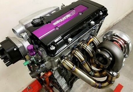 Man Dingo Warrior hot star img