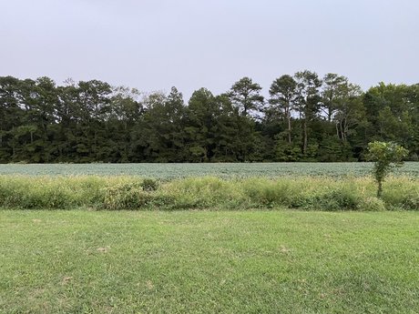 Savannah Rex nice star photos