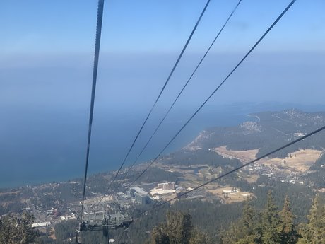 Savage Fucks pornstar pic