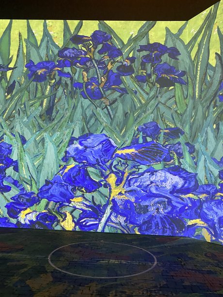 redhead dildo onlyfans beautiful nude photos