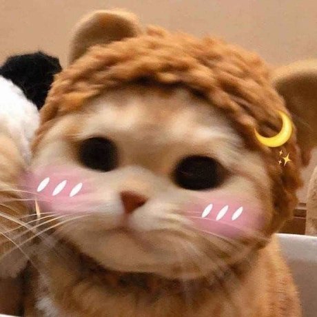 u151486669 nudes pornstar archive