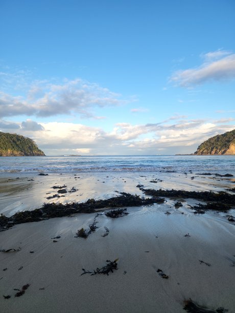 That Nawty B beautiful star image