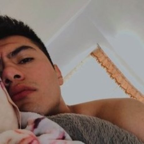 P lux star hd archive