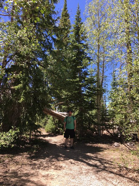 Jason Gamble pornstar art picture