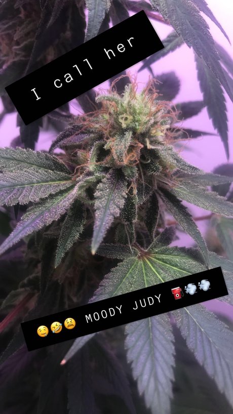 teen tits onlyfans sexy nude picture