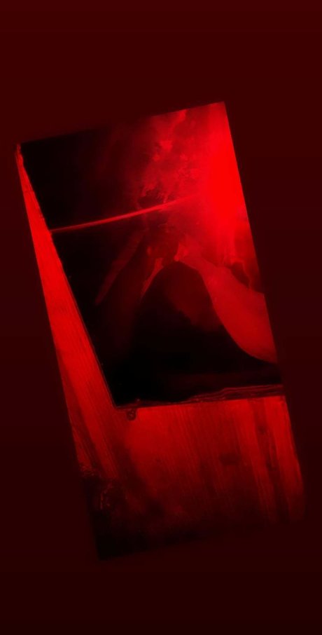 Fany Hernandez best star pictures