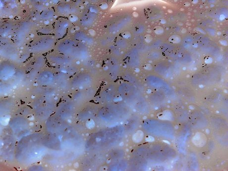 Cori xxx star photos