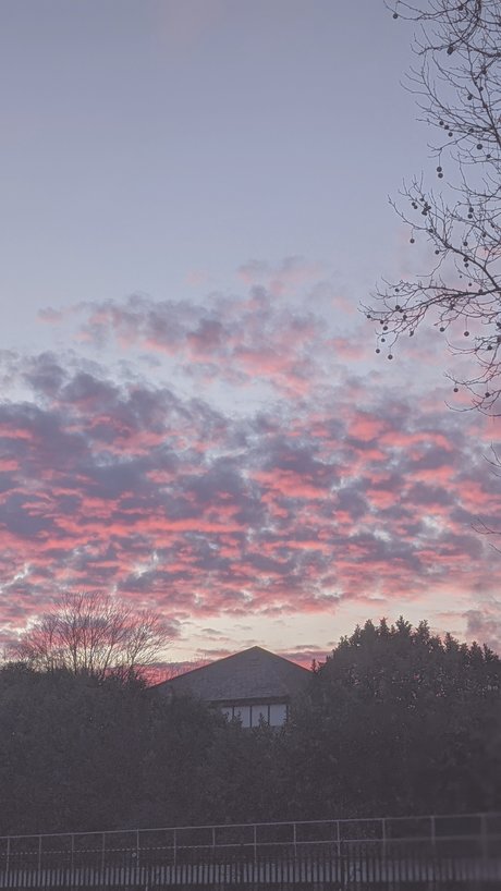 Callie Rose nice model pic