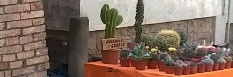 Yuri Crispi top profile image