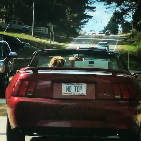 YZ TTG ENT best actress picture