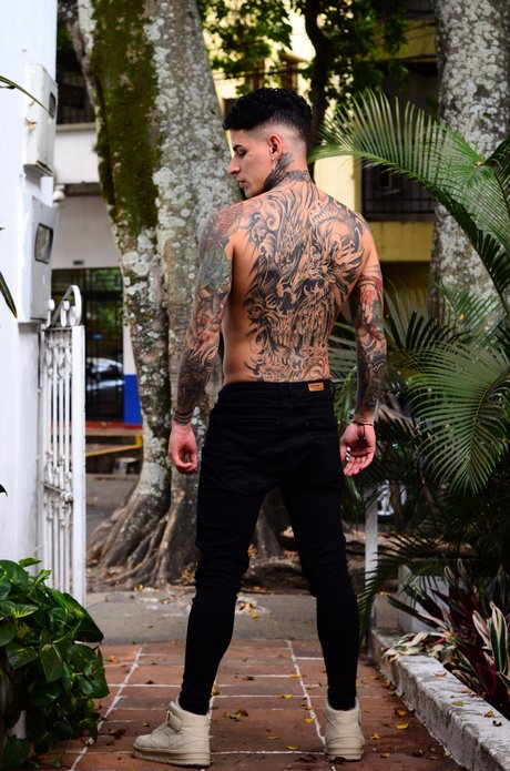 Trisstan model hd archive