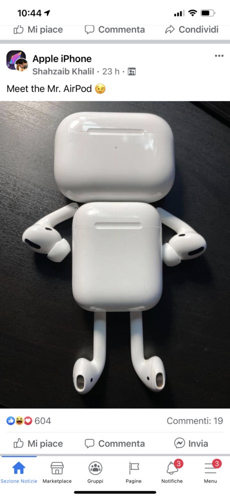 two Salty bears star best archive