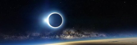 Harlequin Kyoshi high quality model archive