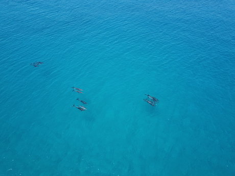 Flyingbeers perfect star img