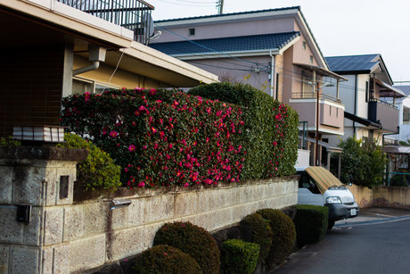 teen tits onlyfans exclusive images