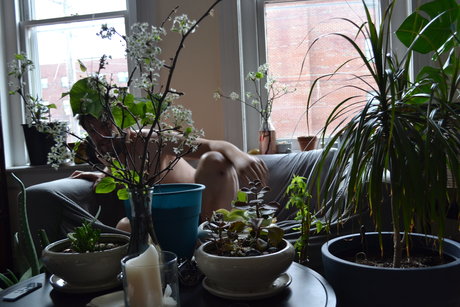 brucedickhamster19 pornstar beautiful archive