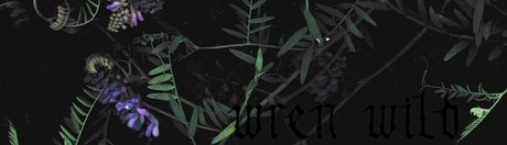 Wren Wild top model image