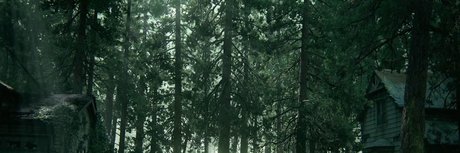 F bio Nokis top actress pictures