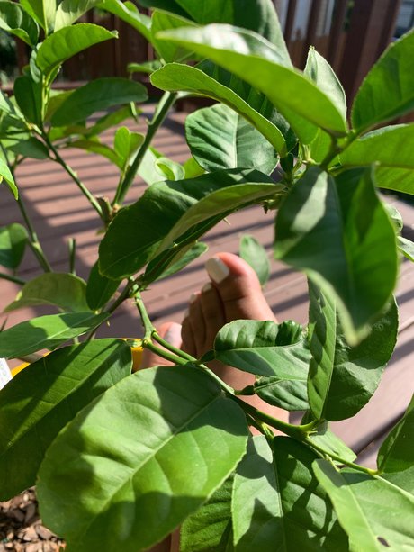 college teacher onlyfans best picture