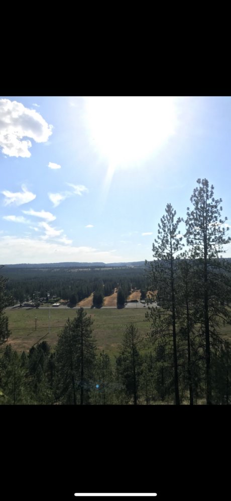 hmmmmmm star free photos